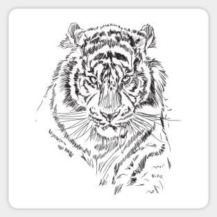 Tiger Sticker